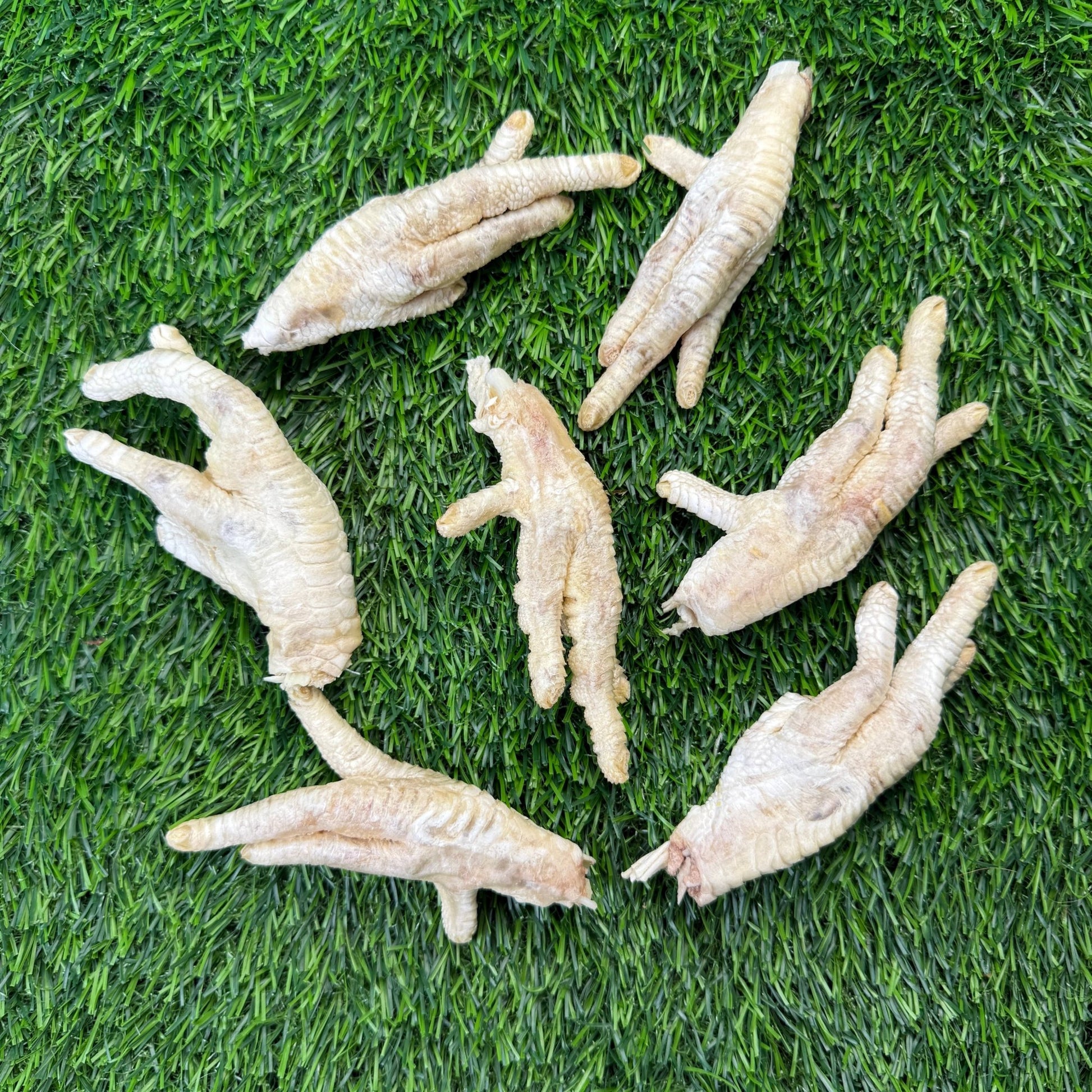 Chicken Feet - Freeze - Dried Treat for Dogs - Happy Hounds Pet Supply