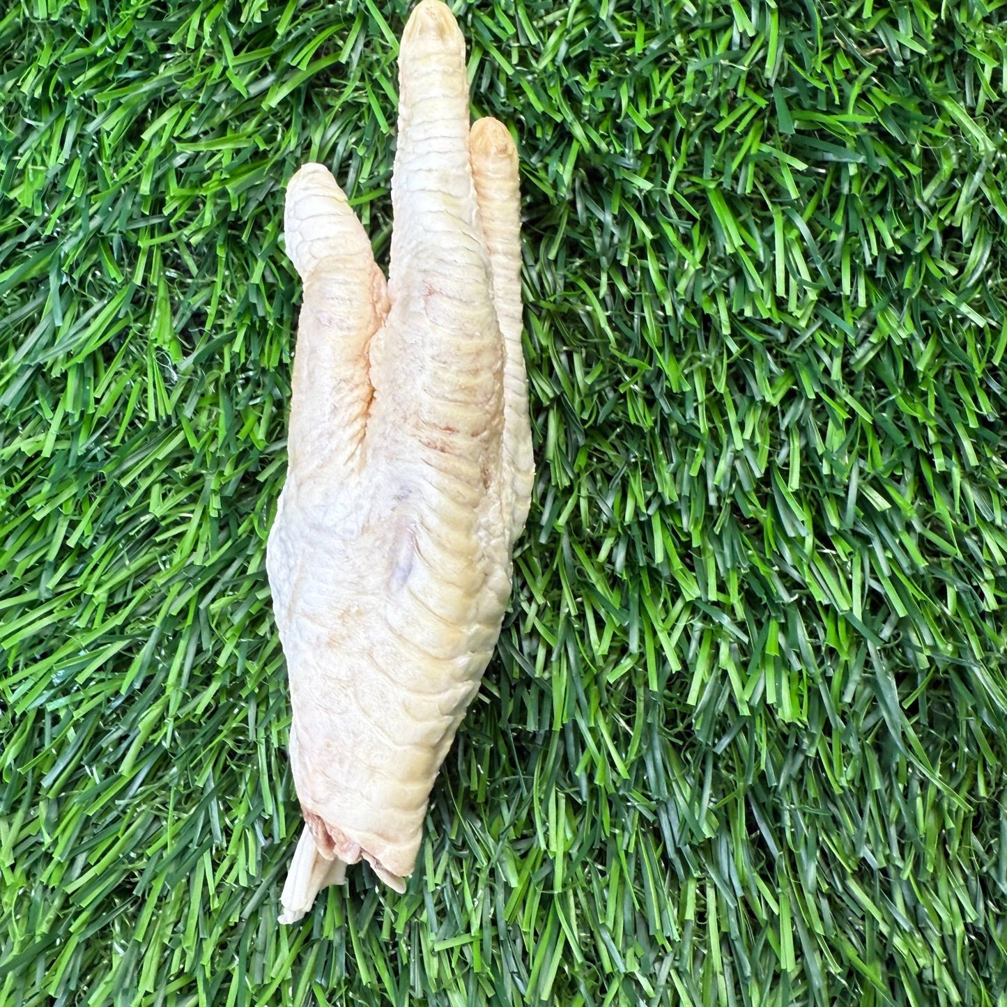 Chicken Feet - Freeze - Dried Treat for Dogs - Happy Hounds Pet Supply