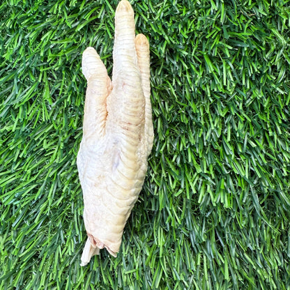 Chicken Feet - Freeze - Dried Treat for Dogs - Happy Hounds Pet Supply