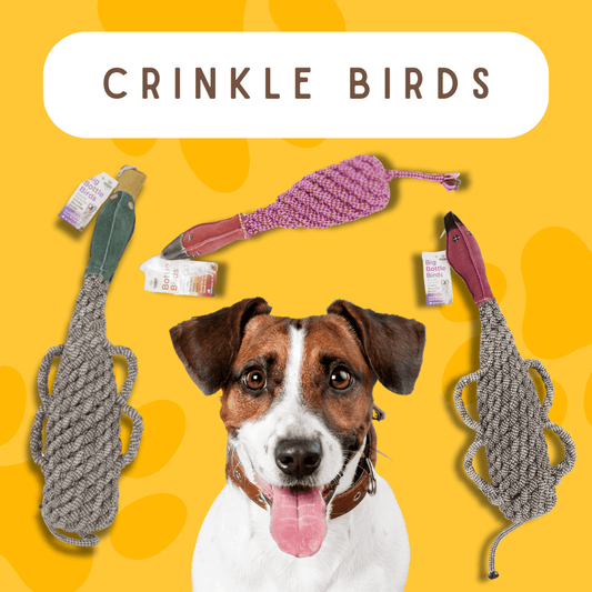Crinkle Bird Dog Toy - Cotton Rope, Recycled Bottle, and Squeaker - Happy Hounds Pet Supply