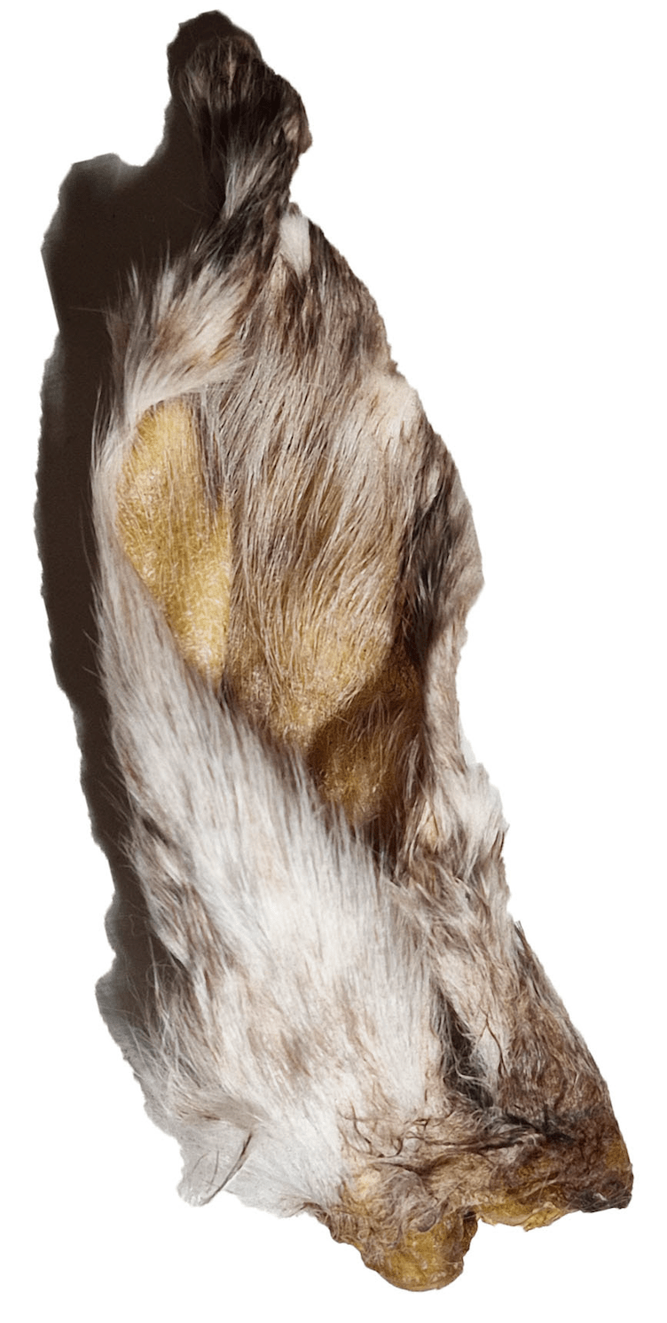 Dehydrated Rabbit Ears - Happy Hounds Pet Supply