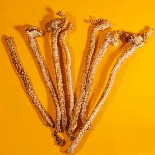 Duck Tracheas - Happy Hounds Pet Supply