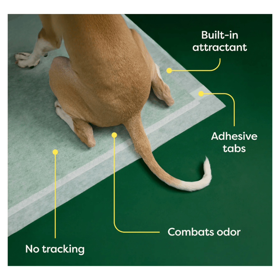 Earth Rated Max Absorbency Pee Pads - Happy Hounds Pet Supply