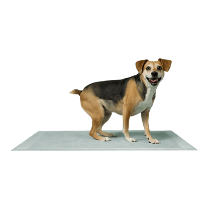 Earth Rated Max Absorbency Pee Pads - Happy Hounds Pet Supply