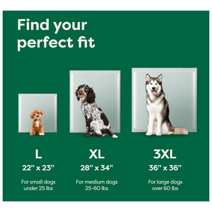 Earth Rated Max Absorbency Pee Pads - Happy Hounds Pet Supply