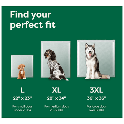 Earth Rated Max Absorbency Pee Pads - Happy Hounds Pet Supply