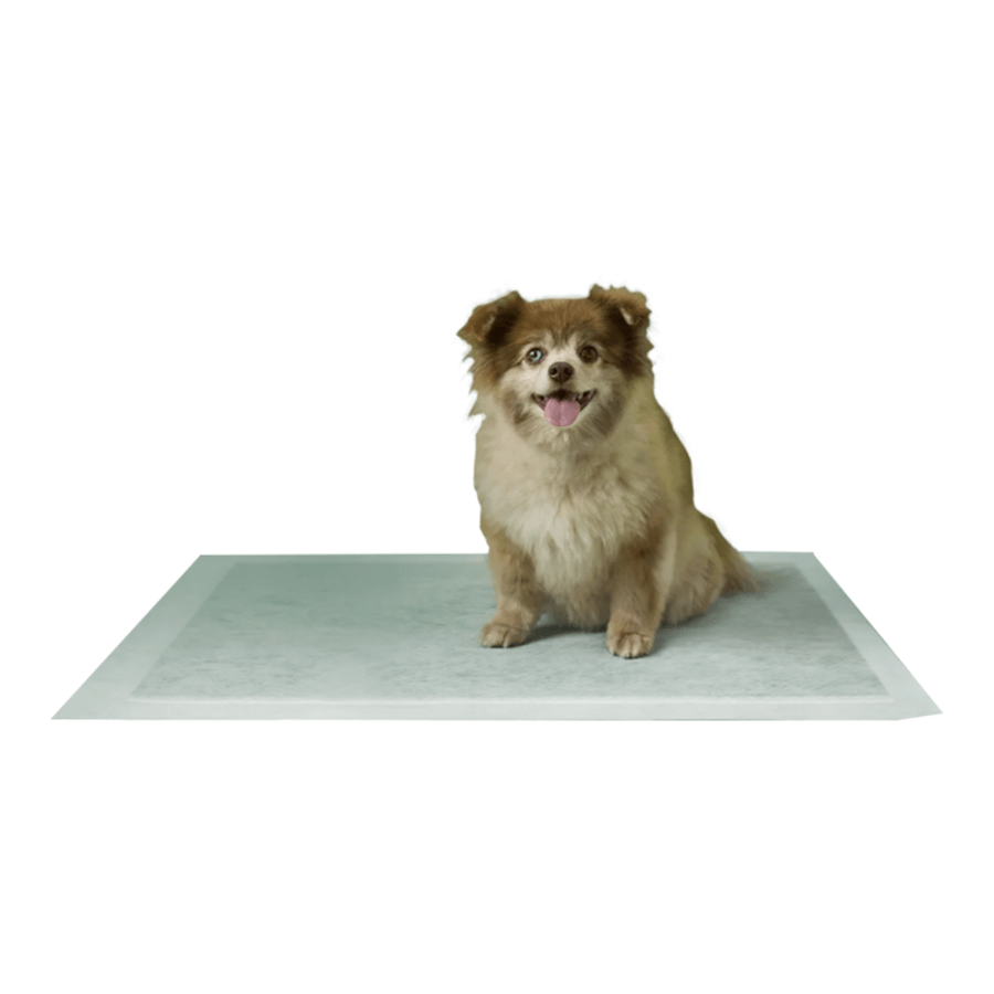 Earth Rated Max Absorbency Pee Pads - Happy Hounds Pet Supply