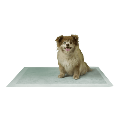 Earth Rated Max Absorbency Pee Pads - Happy Hounds Pet Supply