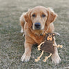 Ethical Pet Dura - Fused Leather Dog Toys with Rope Limbs - Happy Hounds Pet Supply