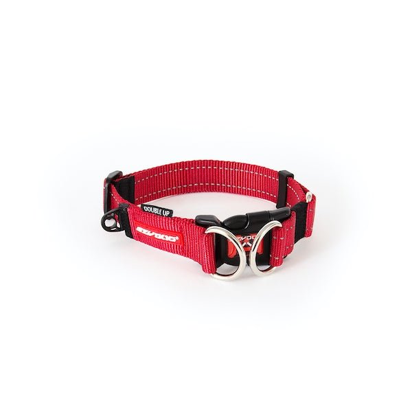 Ezydog Doubleup Collar - Happy Hounds Pet Supply