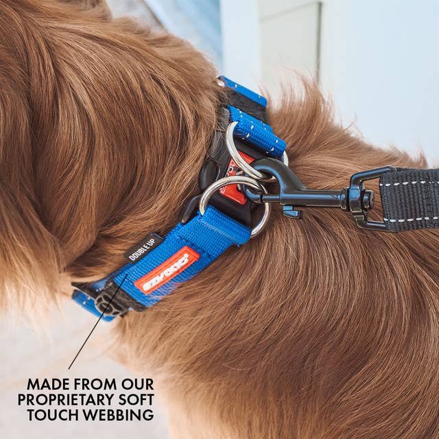 Ezydog Doubleup Collar - Happy Hounds Pet Supply