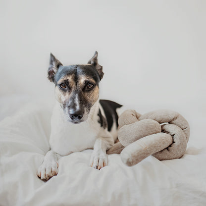 NOU - Enrichment Dog Toy