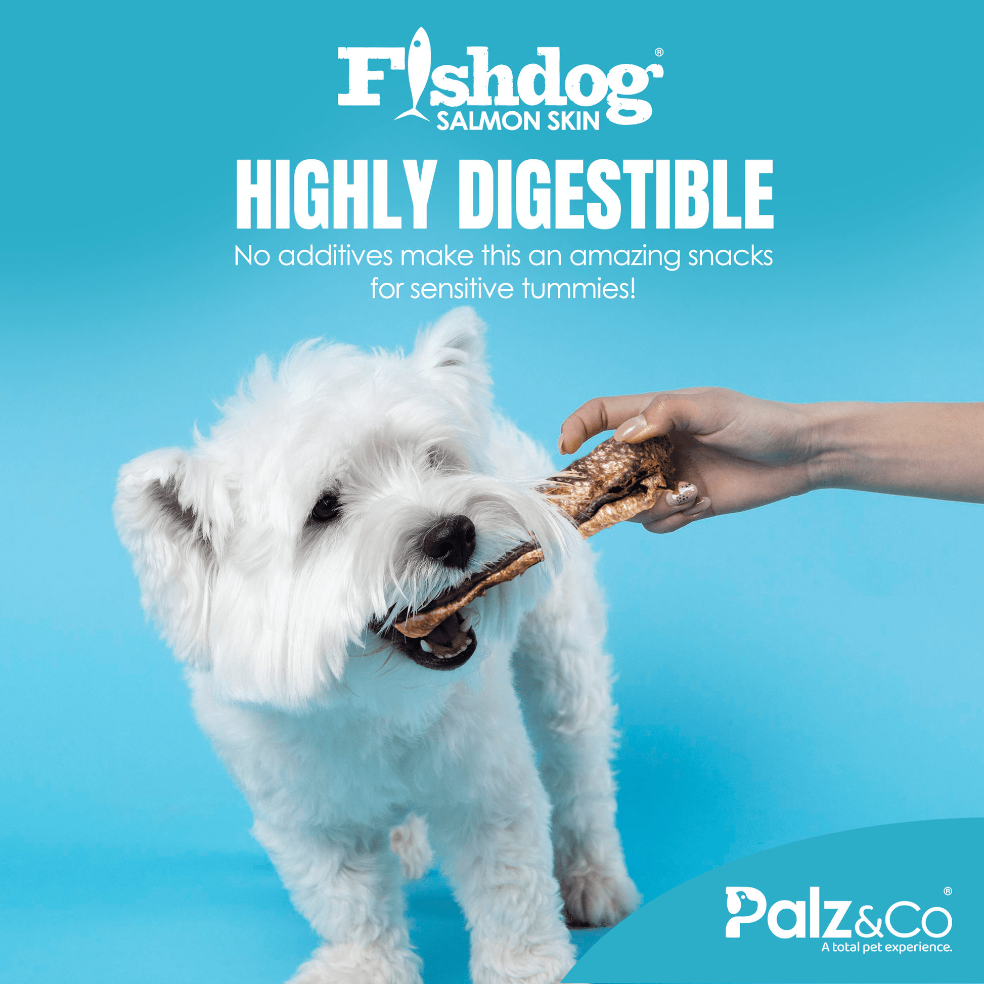 Fishdog Salmon Skin - 2.5 oz (70g) - Happy Hounds Pet Supply