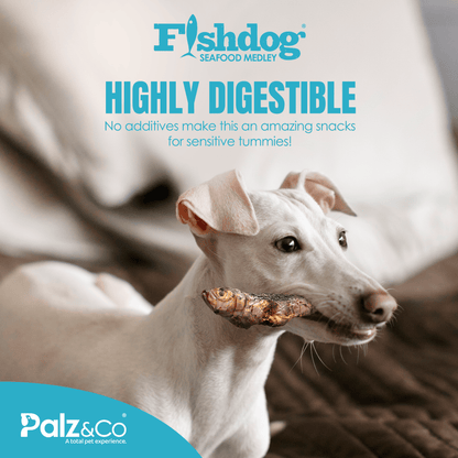 Fishdog Seafood Medley - 2.5 oz (70g) - Happy Hounds Pet Supply
