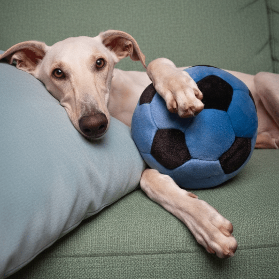 Fluff & Tuff Large and XL Plush Toys - Happy Hounds Pet Supply