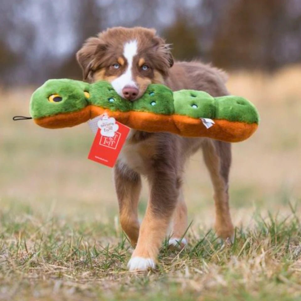Fluff & Tuff Large and XL Plush Toys - Happy Hounds Pet Supply