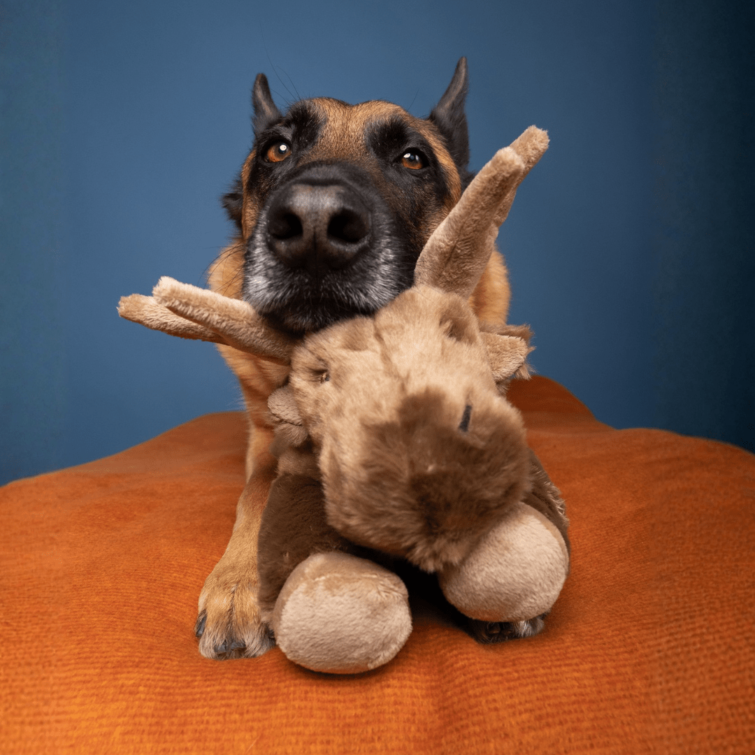 Fluff & Tuff Large and XL Plush Toys - Happy Hounds Pet Supply