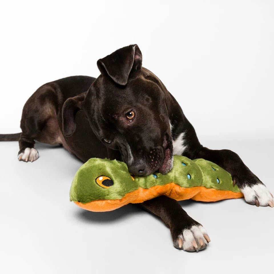 Fluff & Tuff Large and XL Plush Toys - Happy Hounds Pet Supply