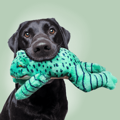 Fluff & Tuff Medium Plush Toys - Happy Hounds Pet Supply