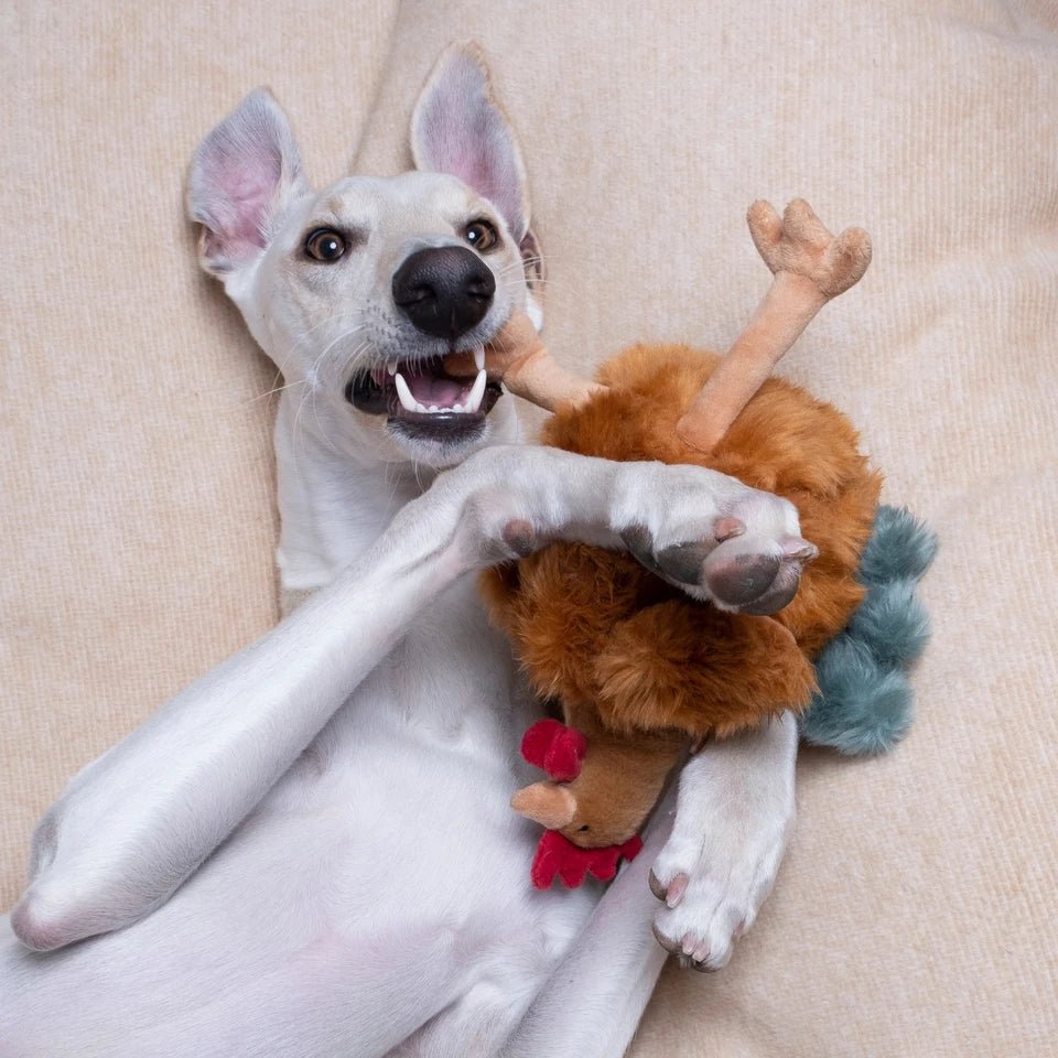 Fluff & Tuff Medium Plush Toys - Happy Hounds Pet Supply