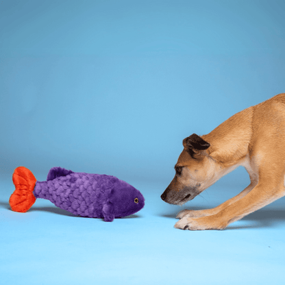 Fluff & Tuff Medium Plush Toys - Happy Hounds Pet Supply
