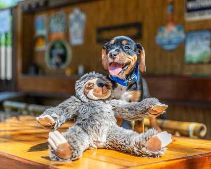 Fluff & Tuff Small Plush Toys - Happy Hounds Pet Supply