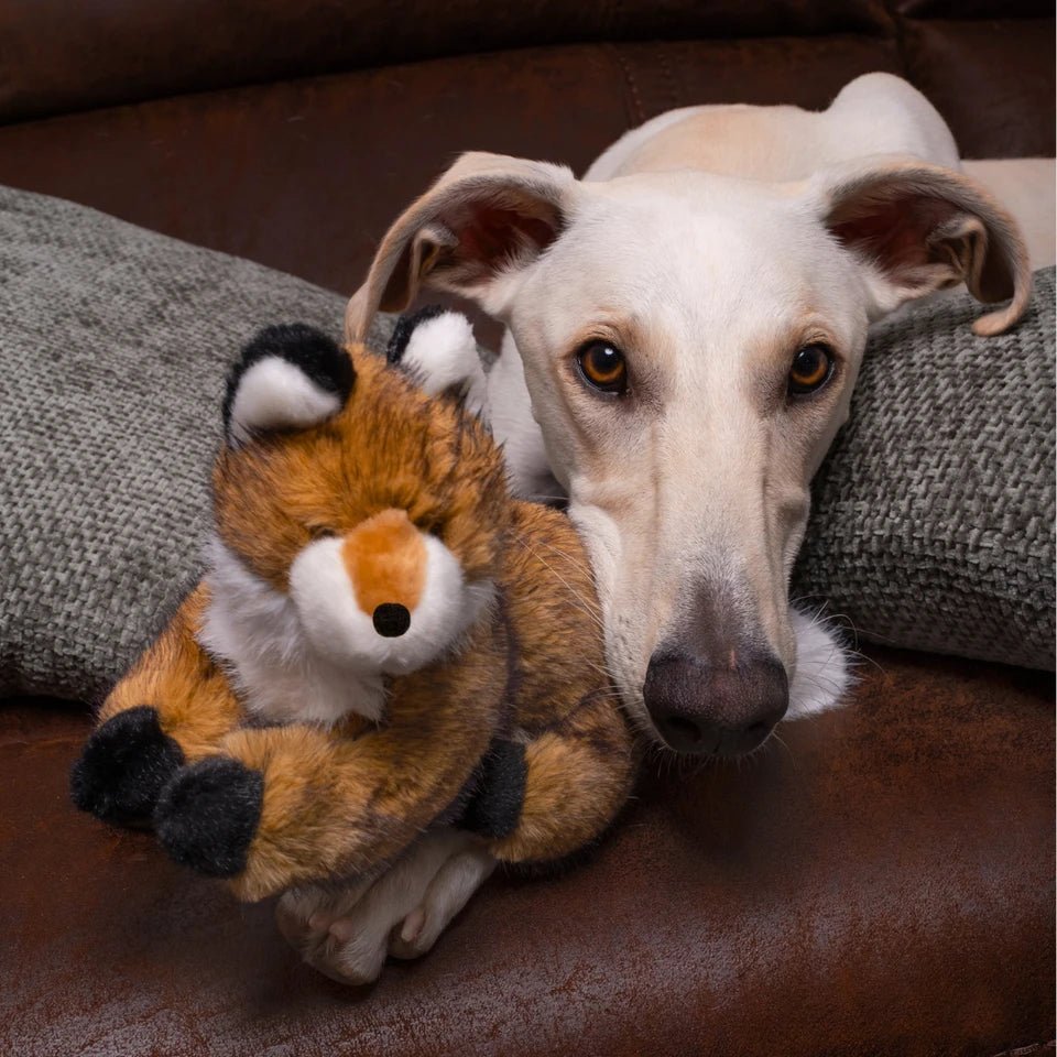 Fluff & Tuff Squeakerless Plush Toys - Happy Hounds Pet Supply