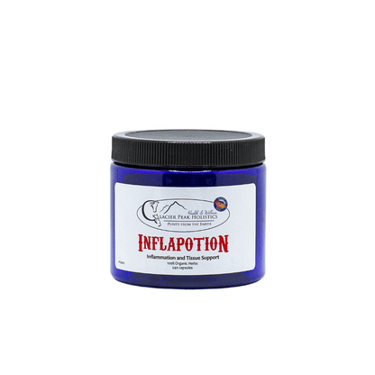 Glacier Peak Holistics Inflapotion - Happy Hounds Pet Supply