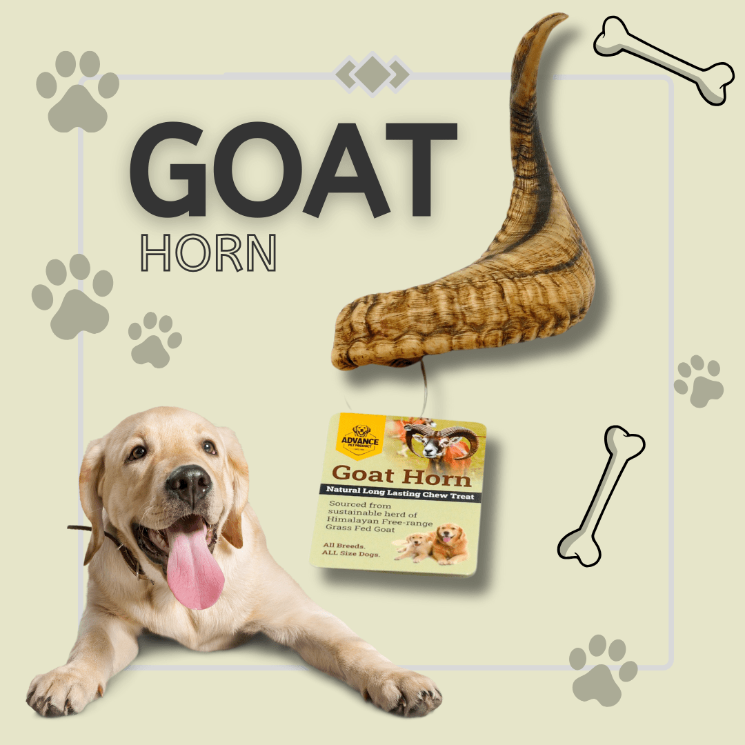 Goat Horns - Happy Hounds Pet Supply