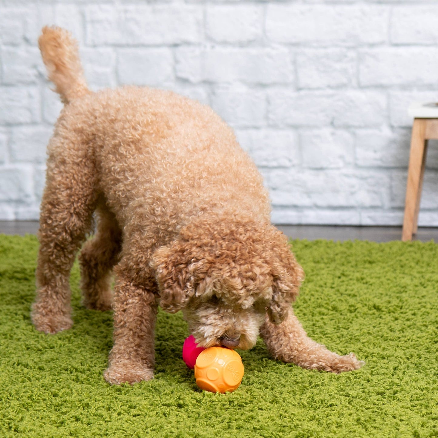 GoDog Silent Squeaker Ball Dog Toy 2pk - Happy Hounds Pet Supply