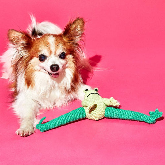 Hand Crochet Frog - Happy Hounds Pet Supply