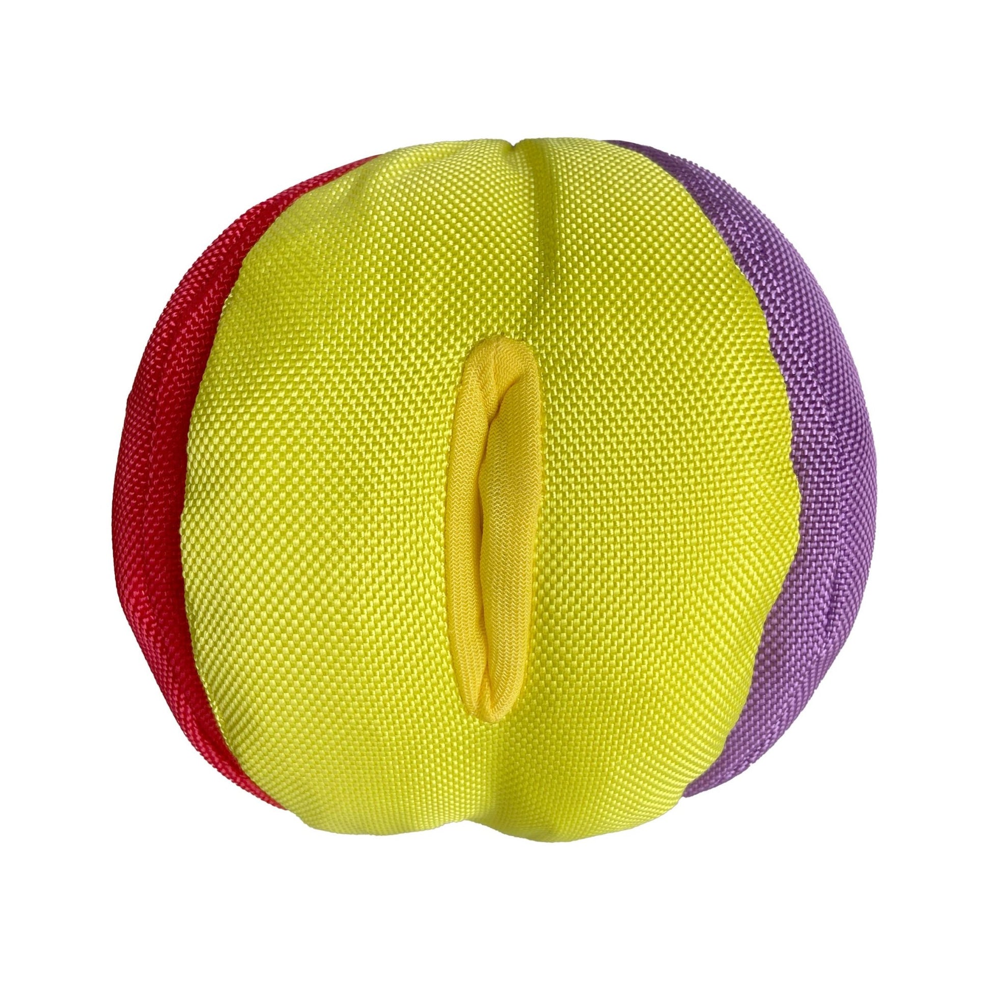 Hide 'n Seek Ball - Happy Hounds Pet Supply