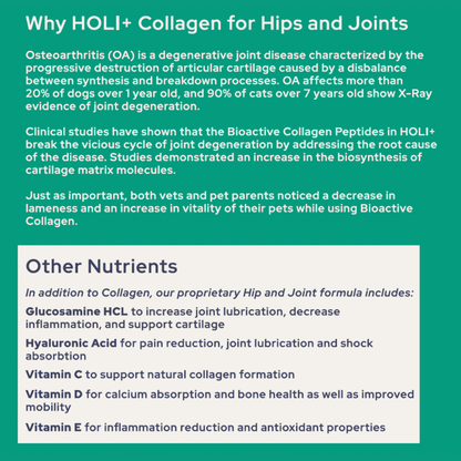HOLI Collagen Powder for Dogs - Happy Hounds Pet Supply