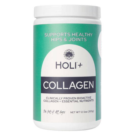 HOLI Collagen Powder for Dogs - Happy Hounds Pet Supply
