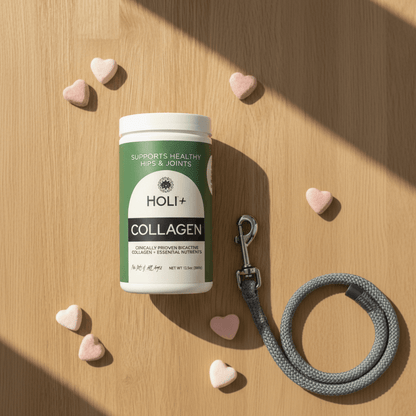 HOLI Collagen Powder for Dogs - Happy Hounds Pet Supply