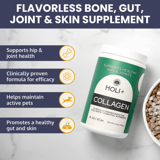 HOLI Collagen Powder for Dogs - Happy Hounds Pet Supply