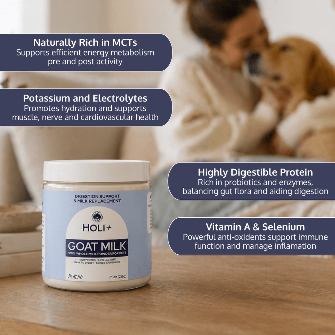 Holi Powdered Goat Milk for Dogs & Cats - Happy Hounds Pet Supply