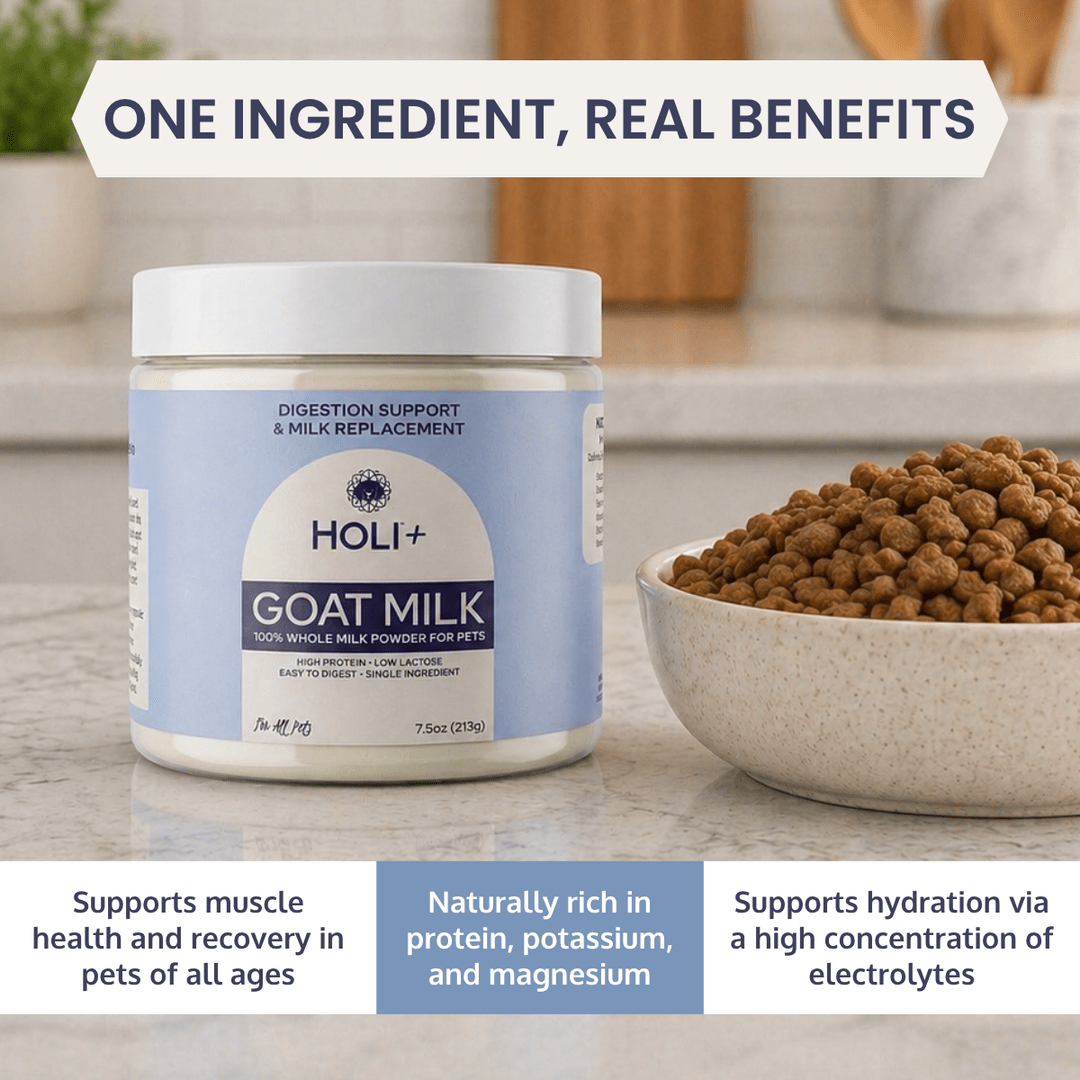 Holi Powdered Goat Milk for Dogs & Cats - Happy Hounds Pet Supply