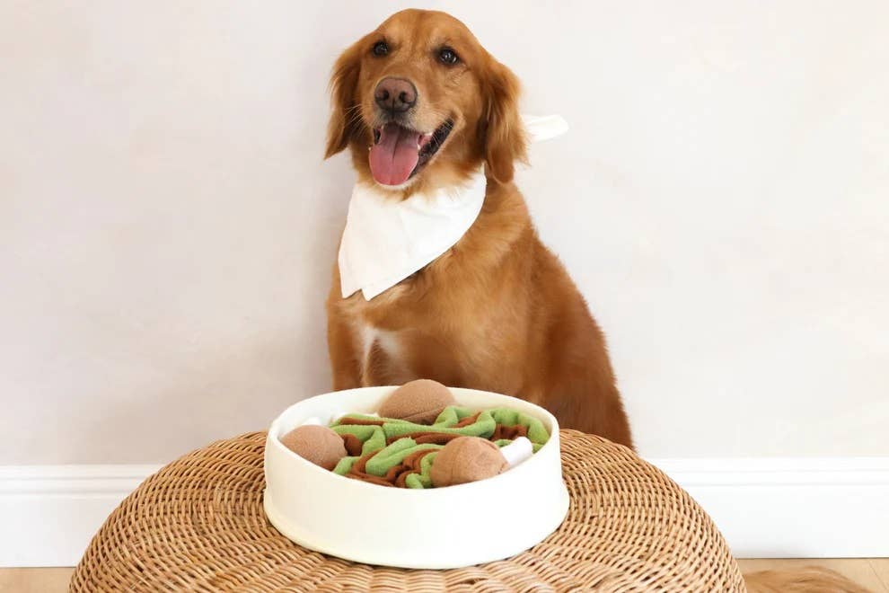 Injoya Chicken n’ Gravy Snuffle Bowl - Happy Hounds Pet Supply