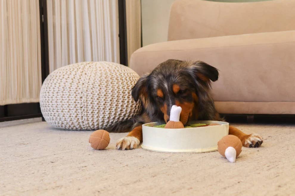 Injoya Chicken n’ Gravy Snuffle Bowl - Happy Hounds Pet Supply