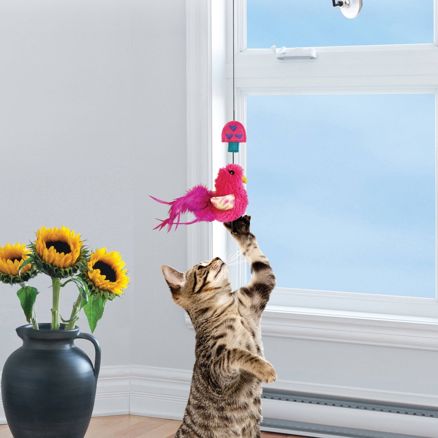 Kong Connects Window Teaser Assorted Cat Toy - Happy Hounds Pet Supply