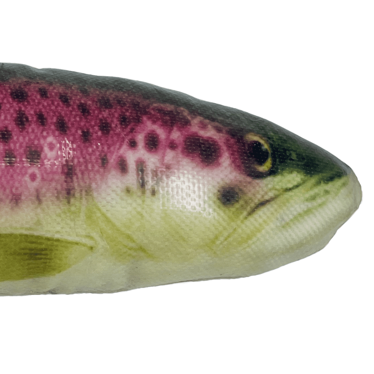 Kong Wild Shieldz Trout - Happy Hounds Pet Supply