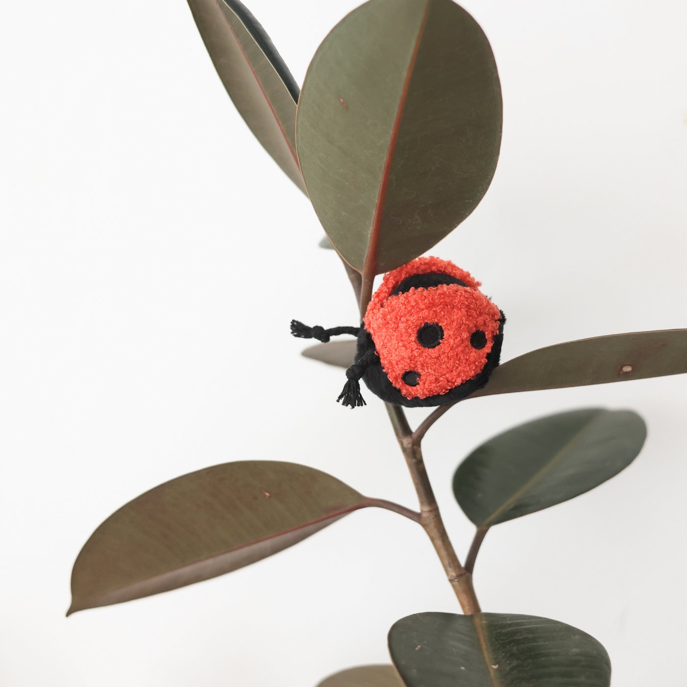 LADYBUG POP ENRICHMENT/SNUFFLE TOY - Happy Hounds Pet Supply