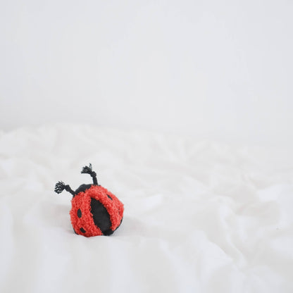 LADYBUG POP ENRICHMENT/SNUFFLE TOY - Happy Hounds Pet Supply