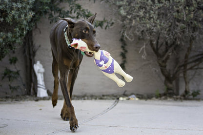 Latex Chicken Squawkers - Happy Hounds Pet Supply