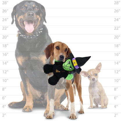 Mighty Microfiber Ball Med Witch, Halloween Dog Toy - Happy Hounds Pet Supply