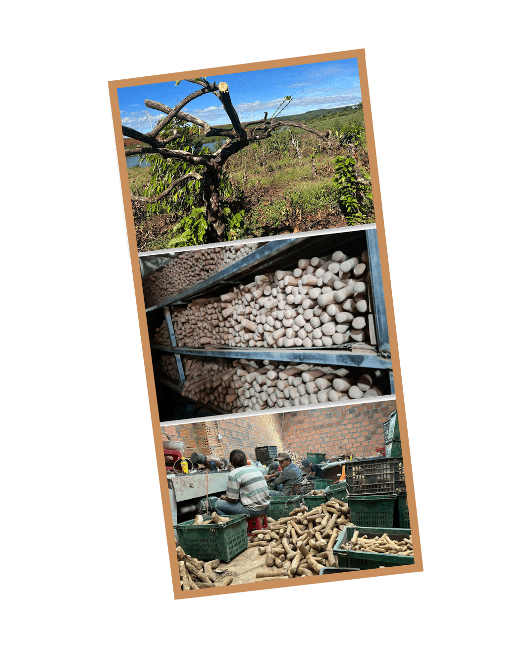 Mumbies Original Chew - Happy Hounds Pet Supply