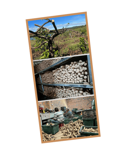 Mumbies Original Chew - Happy Hounds Pet Supply