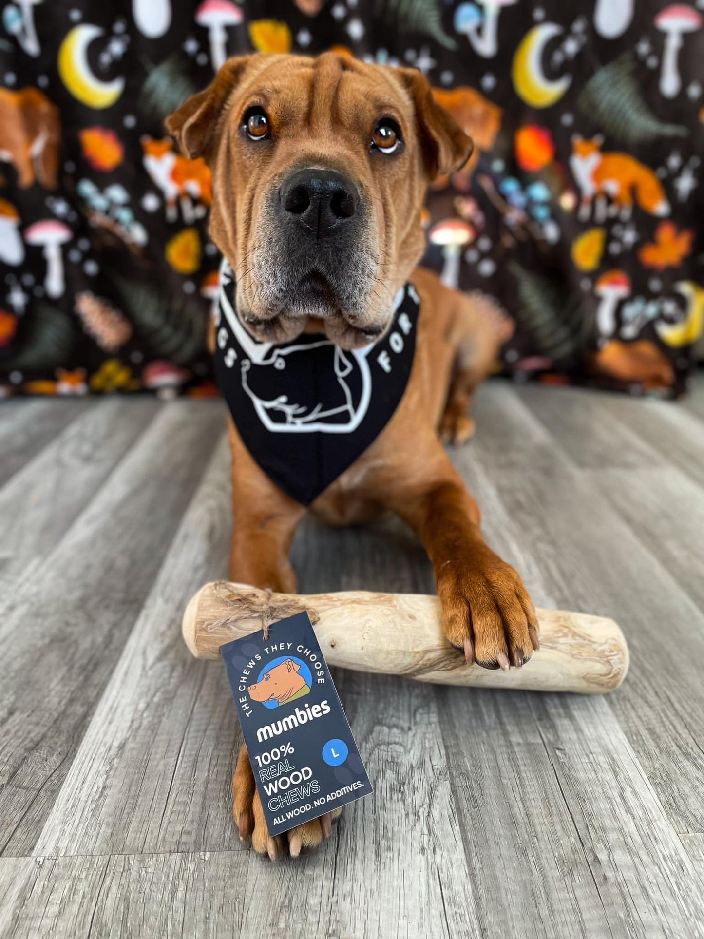 Mumbies Original Chew - Happy Hounds Pet Supply