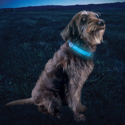 Nite Ize NiteHowl Rechargeable LED Collar Cover Disc - O Select - Happy Hounds Pet Supply